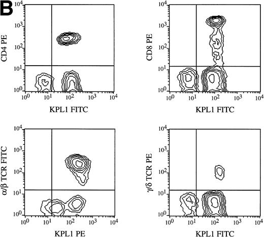 Fig. 7. Expression of PSGL-1 on leukocyte subsets. (A) Human PBMC were isolated by Ficoll density gradient centrifugation and stained for two-color flow cytometry as described in Materials and Methods. Electronic scatter gating was used to select specific subpopulations for detailed analysis. All NK cells (CD16+), monocytes (CD14+), and T cells (CD3+) were positive for PSGL-1 as measured by KPL1, whereas B cells (CD19+) expressed low levels of the KPL1 epitope. (B) All CD4, CD8, α/β (WT31 positive), or γ/δ (anti-TCR-γ/δ-1 positive) cells express uniform levels PSGL-1 as measured by KPL1. Horizontal and vertical lines delineating positive and negative staining were set with appropriate negative control MoAb.