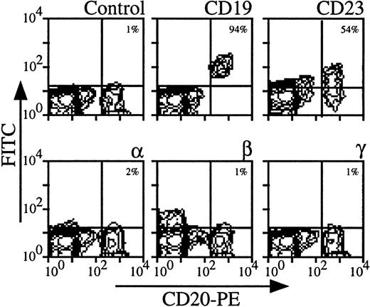 Fig. 2. Expression of IL-2Rα, IL-2Rβ, and IL-2Rγ by B lymphocytes. PBMC from blood collected on heparin were treated by MoAbs 33B3, CF1, and 3B5. Characterization of the population was achieved by treatment with anti-CD19 and anti-CD23 MoAbs. FITC-labeled Fab fragment anti-IgG was used, followed by PE-conjugated anti-CD4 + FL3-conjugated anti-CD14 MoAbs. CD14+ monocytes were excluded for easier analysis. Quadrant setting distinguishing positive immunofluorescence from background fluorescence was determined by staining with isotype-matched control MoAbs. The percentage of positive cells for the different markers is indicated.