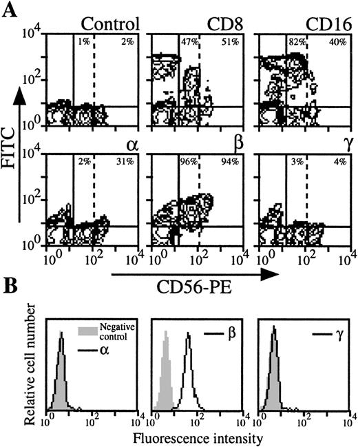 Fig. 3. Expression of IL-2Rα, IL-2Rβ, and IL-2Rγ by NK cells. (A) PBMC from blood collected on heparin were treated by MoAbs 33B3, CF1, and 3B5. Further characterization of the population was achieved by treatment with anti-CD8 and anti-CD16 MoAbs. FITC-labeled Fab fragment anti-IgG was used, followed by PE-conjugated anti-CD56 MoAb + FL3-conjugated anti-CD14 MoAbs. CD14+ cells were excluded for easier analysis. Quadrant setting distinguishing positive immunofluorescence from background fluorescence was determined by staining with isotype-matched control MoAbs. Vertical dotted line separates CD56 low from CD56 high cells. The percentage of positive cells for the different markers is indicated. (B) NK cells were highly purified from PBMC as previously described.47 The resulting CD56 population was treated by MoAbs 33B3, CF1, and 3B5 followed by FITC-labeled Fab fragment anti-IgG. The percentage of positive cells for the different markers is indicated.