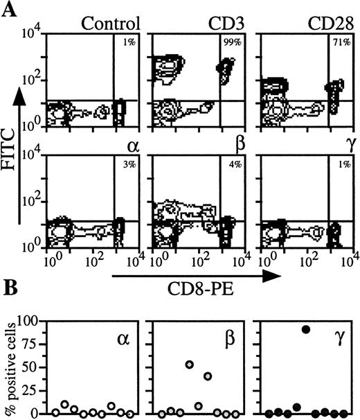 Fig. 4. Expression of IL-2Rα, IL-2Rβ, and IL-2Rγ by CD8 T lymphocytes. (A) PBMC from blood collected on heparin were treated by MoAbs 33B3, CF1, and 3B5. Further characterization of the population was achieved by treatment with anti-CD3 and anti-CD28 MoAbs. FITC-labeled Fab fragment anti-IgG was used, followed by PE-conjugated anti-CD8 MoAb. Quadrant setting distinguishing positive immunofluorescence from background fluorescence was determined by staining with isotype-matched control MoAbs. The percentage of positive cells for the different markers is indicated. (B) Staining and analysis was performed as in (A). The percentage of positive cells for the different markers is shown for a group of nine individuals.