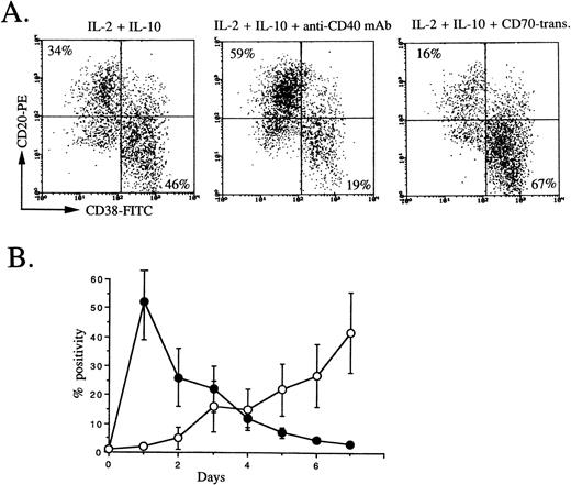 Fig. 4. CD38 and CD20 expression by peripheral blood B cells in secondary culture, and CD154 and CD70 expression on activated T cells. (A) Isolated peripheral blood B cells were cultured with IL-2 50 U/mL + IL-10 50 ng/mL + anti-CD40 MoAb 1 μg/mL. At day 3, cells were restimulated with IL-2 + IL-10, IL-2 + IL-10 + anti-CD40 MoAb, or IL-2 + IL-10 + CD70 transfectants. At the end of secondary culture (5 days), flow-cytometric analysis was performed following removal of dead cells by propidium iodide. The results are representative of 4 experiments. (B) CD154 (•) and CD70 (○) expression on E+ cells stimulated with PHA at indicated days were analyzed by flow cytometry. Values are the mean ± SD of three experiments using different donors.