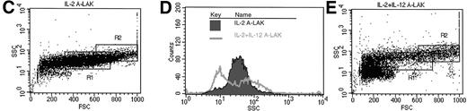 Fig. 4. Presence of IL-12 during LAK cell production generates an adherent subpopulation with a specific morphotype. In contrast to IL-2 LAKs (A), IL-12 induces the formation of granulous, large cells (B). Adherent AKR-derived LAK cells were stained with Crystal violet and photographed (original magnification × 100) in culture plate. This morphological shift can also be visualized by FACS scatter analysis of AKR-derived IL-2 A-LAK cells (C) as compared with IL-2/IL-12 A-LAK cells (E). The population with highest cellular density is situated in region 1 (R1) for IL-2 A-LAK and in region 2 (R2) for IL-2/IL-12 A-LAK. The overlay histogram (D) compares the side scatter signals of both LAK populations.