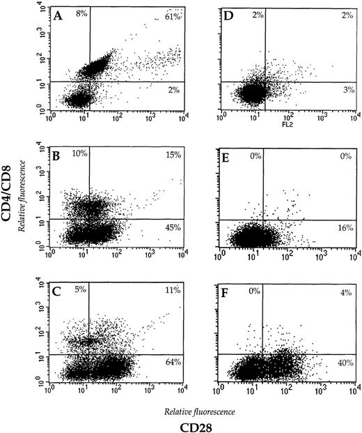Fig. 5. IL-12 induces the expression of CD28 on a subpopulation of adherent LAK cells. The expression of CD28 is represented in function of CD4/CD8 expression for AKR-derived nylon wool purified spleen (A), IL-2 A-LAK (B), and IL-2/IL-12 A-LAK (C) cells as compared with SCID-derived nylon wool purified spleen (D), IL-2 A-LAK (E), and IL-2/IL-12 A-LAK (F) cells. The A-LAK cells were pretreated with 2.4G2 antibodies to block Fc receptors and subsequently incubated with phycoerythrin (PE)-labeled CD28 and fluorescein isothiocyanate (FITC)–labeled CD8 antibodies. The dot plots indicate the percentage of positive cells calculated via quadrant statistics using the suitable isotype controls.
