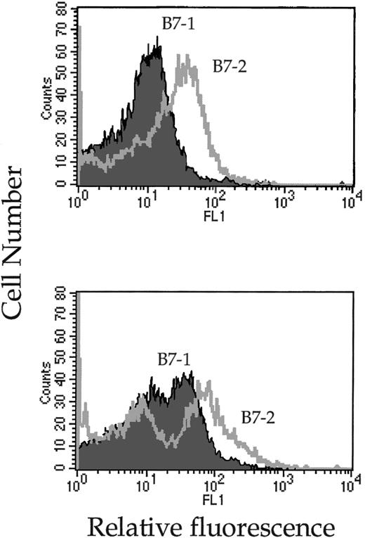 Fig. 8. Mature splenic (top) and progenitor (bottom) DCs express high levels of B7-1 and B7-2 on their surface. In vitro–activated DCs were, upon harvesting, treated with 2.4G2 antibodies to block Fc receptors and subsequently incubated with FITC-labeled B7-1 or B7-2 antibodies. The cells were analyzed by FACS and their fluorescence signals are represented in overlay histograms.