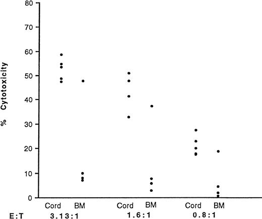 Fig. 3. LAK activity of purified cord blood and BM NK cells against YAC-1 target cells. NK cells were purified and cultured in IL-2 (500 U/mL). CD56+ cells comprised 86.7% ± 7.0% and 82.8% ± 9.0% of purified populations in cord blood (n = 5) and BM (n = 4), respectively. After 3 days, the cells were washed and their cytotoxicity against YAC-1 cells measured using the125I-UdR release assay and at three E:T ratios. The points represent individual samples. The average spons/max ratio was 8.0%.