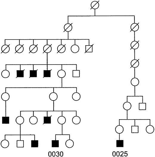 Fig. 2. Pedigree of the patient described in this study. Squares represent males and circles denote females. The shaded symbols represent patients with XLA. A slash through a symbol indicates that the individual is deceased. Patient numbers are written below their respective symbols.