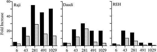 Fig. 5. Relative luciferase activities of the normal constructs (▪) compared with the mutant constructs (▧). The fold increase is relative to pBtkpro, the construct with no intron 1 sequence. Construct numbers are given below their respective bars: 6, pBtkpro+6; 43, pBtkpro+43; 281, pBtkpro+281; 491, pBtkpro+491; and 1029, pBtkpro+1029. Cell lines are indicated in the top left-hand corner of each series.