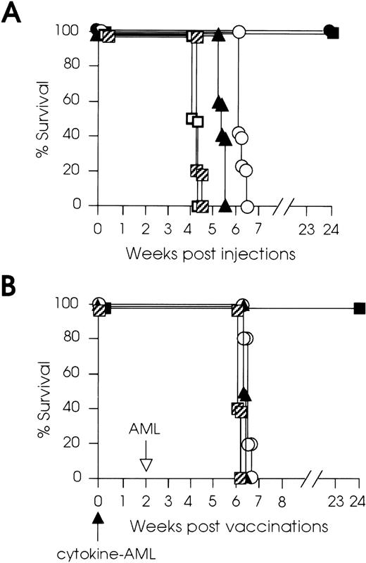 Fig. 3. Tumorigenicity and immunogenicity of cytokine-AML cells. (A) SJL/J mice (8 to 10 mice for each type of experiment) were injected IV with 105 or 106 live GM-AML, IL-4–AML, or TNF-α–AML cells (cytokine-AML). Control mice were injected with 105 or 106 mock-infected AML cells. All mice injected with 105 cytokine-AML (•) and 106GM-AML cells (▪) rejected their leukemia. Mice injected with 105 (▨) or 106 (□) control cells developed leukemia at the expected interval. Mice injected with 106IL-4–AML (▴) had 1 week and those injected with 106TNF-α–AML cells (○) had 2 weeks of prolonged survival. (B) SJL/J mice (8 to 10 mice for each type of experiment) were vaccinated IV (solid arrow) with 105 irradiated (3,200 cGy) GM-AML (▪), IL-4–AML (▴), or TNF-α–AML cells (○) or mock-infected control cells (▨) and were challenged 2 weeks later (open arrow) with 105 live wild-type AML cells. GM-AML–vaccinated mice survived tumor challenge, whereas challenge was lethal to all other groups of mice.