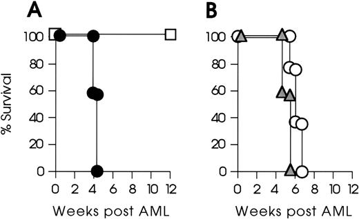 Fig. 4. Rejection of GM-AML cells is not T-cell–dependent. (A) Swiss nu/nu mice, in groups of 6, were injected IV with 105GM-AML cells (□) or 105 mock-infected control cells (•). The former group rejected their tumor, whereas the latter group developed lethal leukemia. (B) SJL/J mice, in groups of 6, were irradiated (600 cGy TBI) and injected 2 days later with 105GM-AML cells (○) or mock-infected control cells (▵). Both groups of SJL/J mice developed lethal leukemia.