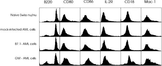 Fig. 5. FACScan analysis of spleen cells from Swiss nu/nu mice. Swiss nu/nu mice, in groups of 3, were injected IV with live 105 GM-AML or B7.1-AML or mock-infected AML cells. Three days later, their spleen cells were stained with a panel of 20 MoAb as described in the Materials and Methods and compared with spleen cells from naive Swiss nu/nu mice. A total of 10,000 cells were analyzed by FACS for each sample. GM-AML–injected mice showed a higher population of cells negative for B220 (25.31% v 18.51% in naive mice) and increased expression of CD80, CD86, IL-2R, CD18, and Mac-1.