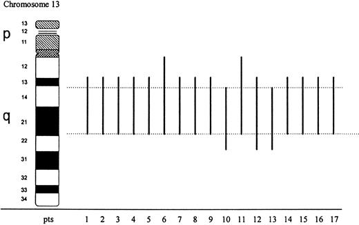 Fig. 1. Schematic representation of 13q chromosome interstitial deletions determined by conventional cytogenetics in 17 cases with myeloid malignancies. Black bars show the extent of deletion in each case; dotted lines delimitate the commonly lost region.