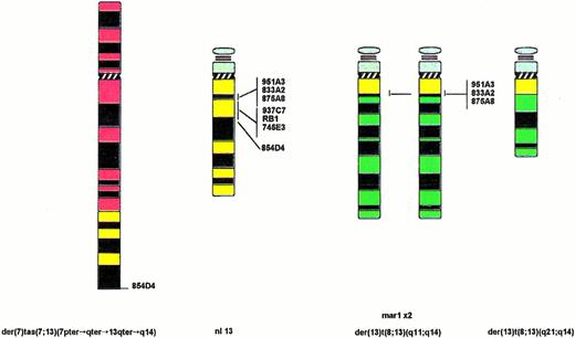 Fig. 3. Graphical representation of structural rearrangements involving chromosome 13 in case 20 and summary of FISH analysis. Chromosome 7 material is shown in red, chromosome 13 in yellow, and chromosome 8 in green. Order of the applied YACs is indicated next to the normal chromosome 13.