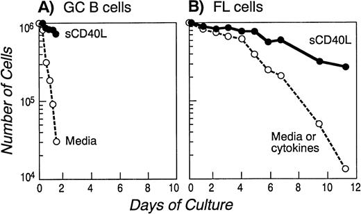 Fig. 2. Onset of apoptosis in GC (A) and FL cells (B) cultured in media alone or in the presence of cytokines: prolongation of survival in the presence of soluble CD40L. FACS-sorted GC B cells (A) or purified FL cells of a representative patient (B) were cultured in media alone or in the presence of several cytokines (see Materials and Methods) or soluble CD40L for the indicated time and apoptosis was assessed quantitatively by Trypan Blue exclusion at the indicated time points. Similar results were obtained with GC cells isolated from two other tonsils and with FL cells from six additional patients.