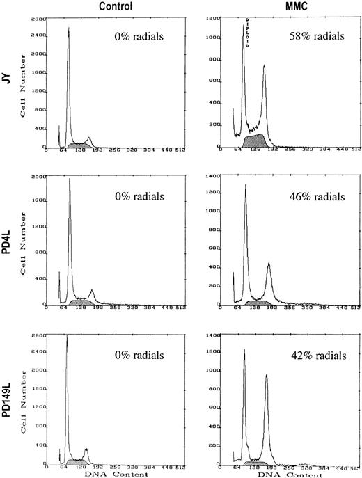 Fig. 2. Normal and FA(C) cells with similar amounts of MMC-induced cytogenetic abnormalities have similar G2/M accumulation. Cells were treated with control medium or medium containing MMC for 48 hours. JY cells were treated with 300 ng/mL of MMC, and PD149L and PD4L cells were treated with 40 ng/mL of MMC. After 48 hours the cells were harvested and DNA content measured by PI staining and flow cytometry. Cytogenetic analysis was performed on an aliquot of each sample. Results of a representative experiment are shown. The shaded area represents cells in S phase.