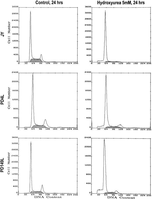 Fig. 4. HU induces identical cell cycle responses in normal and FA(C) cells. Cells were cultured in control medium or medium containing 5 mmol/L HU. After 24 hours the cells were harvested and DNA content measured by PI staining and flow cytometry. Results of a representative experiment are shown. The shaded area represents cells in S phase.
