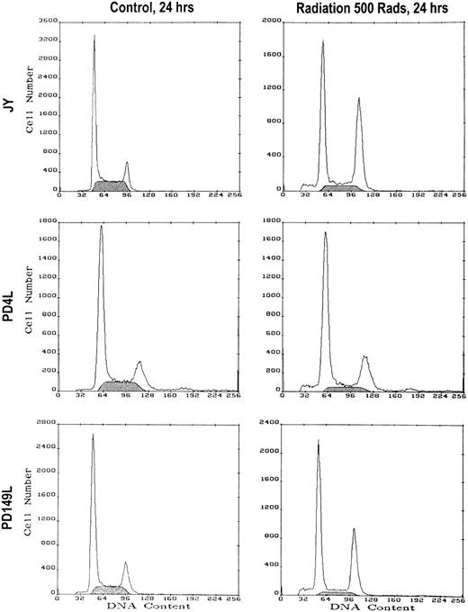 Fig. 5. γ-Irradiation induces identical cell cycle responses in normal and uncorrected FA(C) cell lines. Cells were treated with 500 rads of γ-irradiation. Following irradiation the cells were washed extensively and placed in culture in a 12-well plate. Twenty-four hours after irradiation the cells were harvested along with nonirradiated control cells. DNA content was measured by PI staining and flow cytometry. Results of a representative experiment are shown. The shaded area represents cells in S phase.