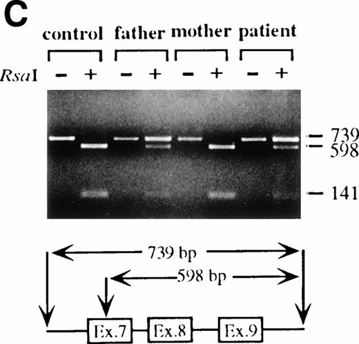Fig. 1. Characterization of the paternal missense mutation. (A) Sequence (sense) of amplified cDNA subclones from a control (left) and the patient (right). The position of the G632 → A transition is indicated by arrows next to the sequence ladder. (B) Identification of heterozygosity for the missense mutation. DNA samples from a control (lane 1) and the patient B-LCL (lane 2) were hybridized to a radiolabeled 444-bp Rsa I-Pst I cDNA probe extending from the mutation site to the end of exon 11 afterRsa I digestion. The normal Rsa I sites are at base pair 27,276 in exon 6, 28,516 in exon 7, and 31,671 in intron 11, predicting a 3.154-kb band hybridized to the probe in normal control, while loss of Rsa I site in exon 7 results in a larger band (4.394 kb). (C) Determination of the paternal mutation. Amplified genomic fragments (739 bp) from intron 6 (base pair 28377) to intron 9 (base pair 29115) were digested with Rsa I and electrophoresed in 2.0% agarose gel, and stained with ethidium bromide. The fragment has one Rsa I recognition site at base pair 28,517 in exon 7, predicting 141- and 598-bp fragments. Loss of the Rsa I site by the mutation results in an undigested fragment.