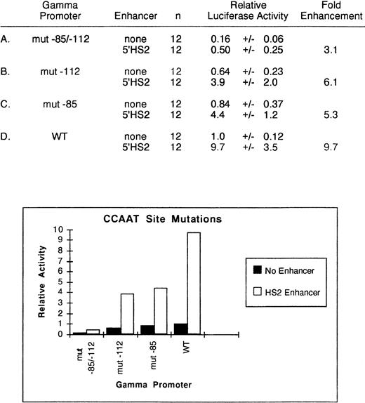 Fig. 3. Relative activity of wild-type and mutated CCAAT γ-globin promoter plus enhancer plasmids in uninduced K562 cells. Activities are calculated relative to the wild-type γ-globin promoter-luciferase plasmid without enhancer. The activity values are presented as the mean ± SEM and n denotes the number of assays performed.
