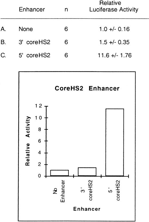 Fig. 8. Relative activity of wild-type γ-globin promoter plus core HS2 enhancer plasmids in uninduced K562 cells. Activities are calculated relative to the wild-type γ-globin promoter-luciferase plasmid without enhancer. The activity values are presented as the mean ± SEM and n denotes the number of assays performed.