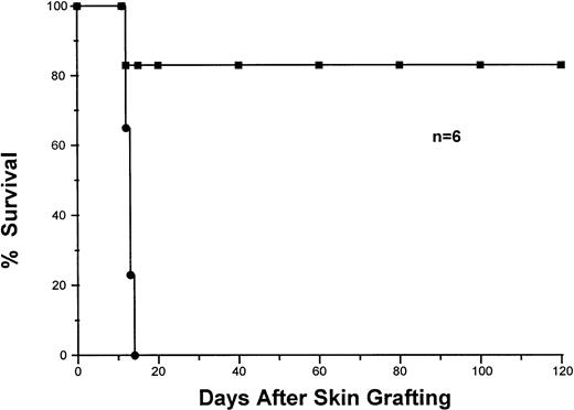 Fig. 3. Survival of donor-specific skin grafts in 2CF1 transgenic mice given DST on the day of transplantation. 2CF1 transgenic mice (n = 6) were injected IV with splenocytes from BYJ (Ld+). On the same day of the injection, each mouse was given skin grafts from BYJ (▪) and SJL (•). The grafts were monitored and scored after skin transplantation for more than 120 days.