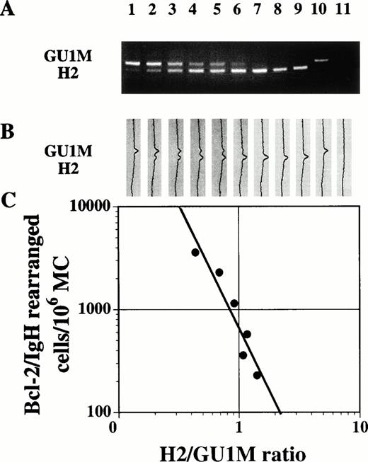 Fig. 2. ICs were used in a nested competitive PCR assay to quantitate rearranged NHL cells. (A) The following number of copies of IC (GU1M): (1) 5,000; (2) 3,200; (3) 1,600; (4) 800; (5) 500; (6) 320; (7) 160; (8) 50; (9) 0 were added to aliquots of H2 cells mixed with normal PBMC at a ratio of 5 × 103/106. Each aliquot, a positive (10: IC only) and a negative control (11: water only) were amplified by nested PCR, run on a 2.5% agarose gel, and stained with ethidium bromide. (B) Amounts of PCR products were measured by multidensitometric analysis. (C) Fluorescence ratios (•) were plotted against the concentration of IC (corrected for differences in molecular weight). The estimated number of bcl-2/IgH rearranged cells in the sample corresponded to a ratio of 1 (correlation coefficient = −.945).