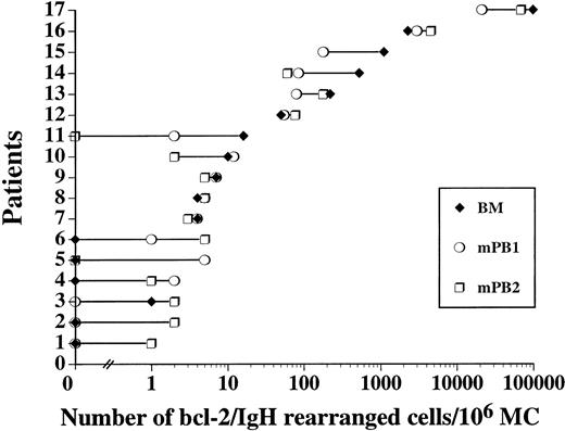 Fig. 5. Quantification of lymphoma cells present in the BM (⧫) and the first (○) and second (□) mobilized PB collections from 17 different patients listed according to the number of rearranged cells detectable before autologous PBPCT. No difference in lymphoma cell burden was identified (P = .57).