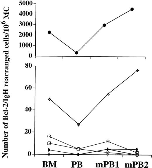 Fig. 6. Effect of mobilization on lymphoma cell levels. The number of bcl-2/IgH rearranged cells detectable in BM and PB obtained immediately before mobilization and in mobilized PB collections (1 and 2) are plotted for each of seven individuals.