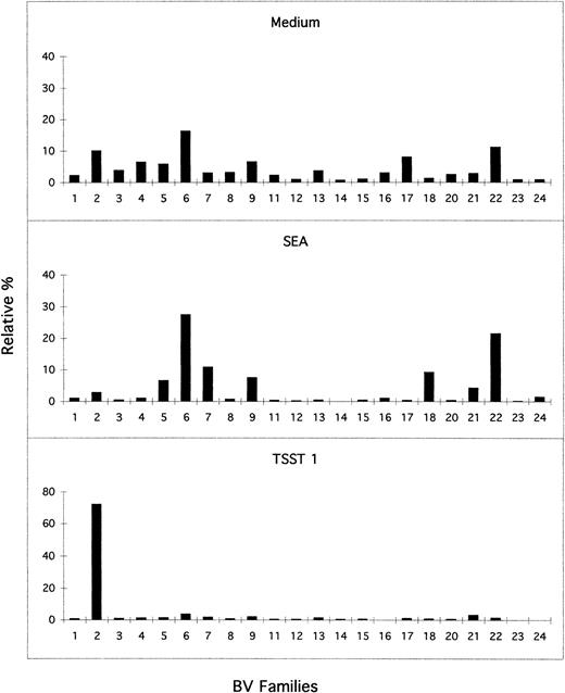 Fig. 4. BV usage after activation by superantigens TSST-1 and SEA in a representative CB sample. Cell suspensions were cultured for 4 days in the presence of TSST-1 (1 ng/mL), SEA (1 ng/mL), or culture medium only. The semiquantitative analysis of BV family usage was performed and the results expressed as in Fig 2.