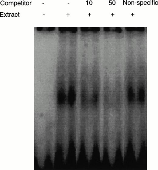Fig. 3. Detection of CD28RC in EMSA. The nuclear extract from CD4 cells derived from OKT3-stimulated preG-PBMCs was incubated with a32P-labeled CD28RE. Extracts were electrophoresed on a 6% polyacrylamide gel and complexes of nuclear proteins and CD28RE were visualized using ImageQuant3.3 software (Molecular Dynamics). Unlabeled CD28RE (10 and 50 pmol) as a specific competitor or negative regulatory element A (NRE-A) as a nonspecific competitor were added as indicated.
