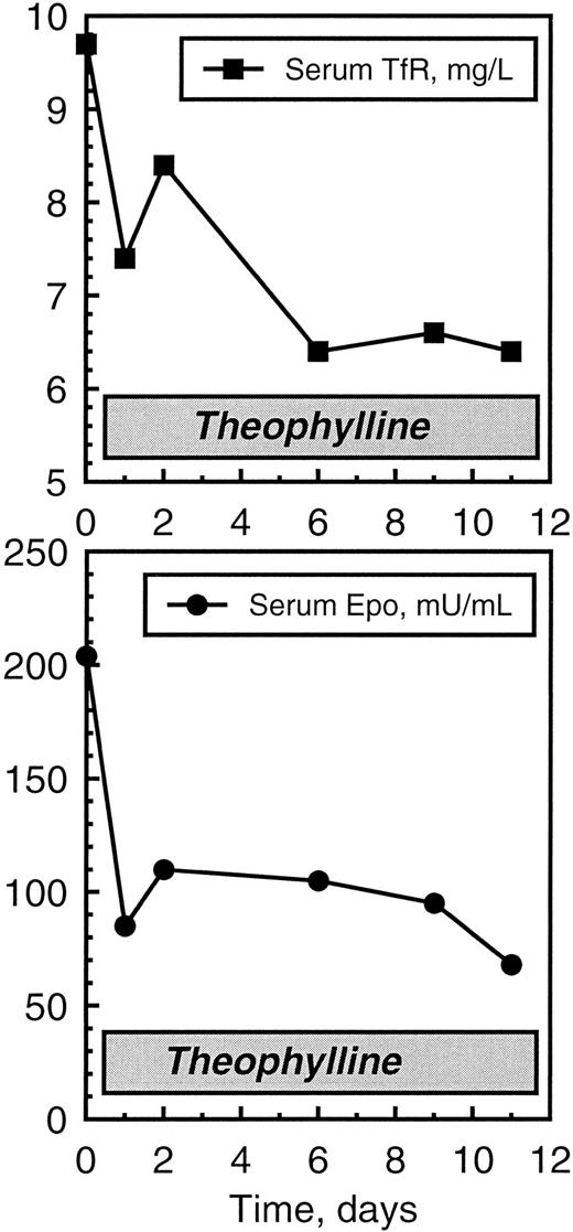 Fig. 1. Effects of theophylline on serum Epo and serum transferrin receptor (TfR) in the 17-year-old girl with erythropoietin-dependent erythrocytosis. Theophylline was given intravenously in the first 2 days and then orally (see text for details).