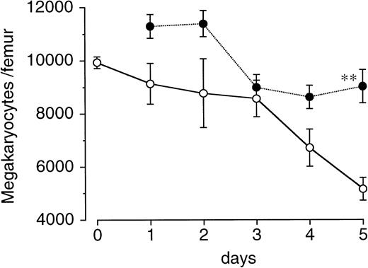 Fig. 3. Effects of a single injection of PEG-rHuMGDF on megakaryocyte recovery after irradiation in mice. Mice were irradiated at a dose of 3.5 Gy and intravenously given 80 μg/kg PEG-rHuMGDF (•) or vehicle (○) 1 hour after irradiation. The number of megakaryocytes in the femur of the mice before total-body irradiation and at indicated times after irradiation was examined.