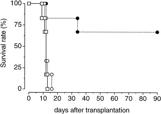 Fig. 5. Effects of a single injection of PEG-rHuMGDF on the expansion of bone marrow cells capable of surviving in lethally irradiated mice. One hour after irradiation at a dose of 3.5 Gy, mice were intravenously given 80 μg/kg PEG-rHuMGDF (•) or vehicle (○). Two days later, the mice were killed and their bone marrow cells (106 cells per mouse) were intravenously injected into syngeneic recipient mice that had been lethally irradiated at a dose of 8.5 Gy. One group of lethally irradiated mice received no transplantation of bone marrow cells (□).