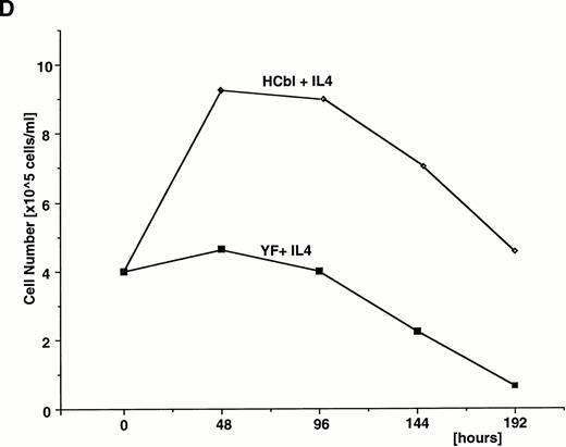 Fig. 6. Tyrosine 731 of c-Cbl is critical for enhancing PI3 kinase activity. (A) IL-4 activates c-Cbl–associated PI3 kinase in Ba/F3 cells. Lysates from Ba/F3 cells stimulated with or without IL-4 were immunoprecipitated with anti–c-Cbl antibody. The immunoprecipitates were subjected to the PI3 kinase assay. (B) The PI3 kinase assay of mock, HCbl, and YF cells stimulated with or without IL-4. Lysates from mock, HCbl and YF cells stimulated with or without IL-4 were immunoprecipitated with antiphosphotyrosine antibody. The immunoprecipitates were then subjected to the PI-3 kinase assay. (C) The thymidine incorporation assay of HCbl and YF cells in the presence or absence of IL-4 (10 ng/mL). The growth rates were expressed as in Fig 2D. The data for HCbl cells are the same as presented in Fig 2D. (D) Growth of HCbl and YF cells in the presence of IL-4. HCbl and mock cells were cultured in RPMI containing 5% FCS and IL-4 (1 ng/mL), but without IL-3. The data for HCbl cells are the same as presented in Fig 2B.