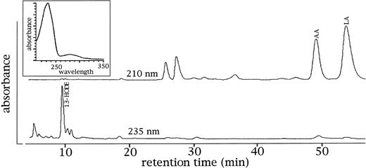 Fig. 5. 15-LOX products occur in the membranes of rabbit reticulocytes. Reticulocyte-rich blood cell suspensions were prepared from a rabbit on the seventh day of the bleeding period. The cells were lysed with two vol of distilled water, the membranes were spun down, and the membrane lipids were extracted. After transmethylation with sodium methoxide, the resulting fatty acid methylesters were analyzed by RP-HPLC with a solvent system methanol/water/acetic acid (85/15/0.1, by vol) and a flow rate of 1 mL/min. Upper trace: recording at 210 nm (detection of polyenoic fatty acids), lower trace: recording at 235 nm (detection of oxygenated polyenoic fatty acids. Each trace was normalized with respect to the highest peak of the partial chromatogram. Inset: ultraviolet (UV)-spectrum of the products comigrating with an authentic standard of 13-HODE. In the membranes of rabbit erythrocytes, which were analyzed as controls, these products were not detected (data not shown). 13-HODE, 13-hydroxy-9Z,11E-octadecadienoic acid; LA, linoleic acid; AA, arachidonic acid.