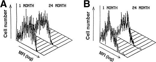 Fig. 1. The cell surface phenotype of primary-cultured stromal cells does not change with age. FACS histograms of the distribution of (A) VCAM-1 and (B) SCF on primary cultured stromal cells. Gates were set to include only live stromal cells based on FSC, SSC, and acLDL uptake. Eleven other less well-characterized monoclonal antibodies against stromal cells were also tested and no differences in either surface intensity or cellular distribution were found with increasing age (data not shown).
