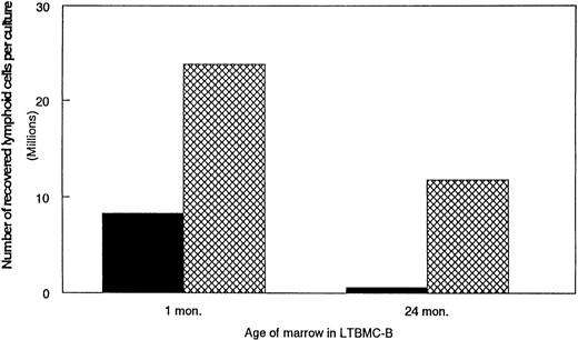 Fig. 4. Supplementation of LTBMC-B of marrow from young and old mice with IL-7 increases the number of B-lineage cells produced per culture. The addition of rIL-7 at 0.5 ng/mL for 2 weeks increased the number of B-lineage cells produced in LTBMC-Bs of young and aged marrow. The total number of lymphoid cells per culture was determined using trypan blue exclusion and phase microscopy. The results were calculated from 2 to 5 pooled cultures. (▪) No added IL-7; () added IL-7.