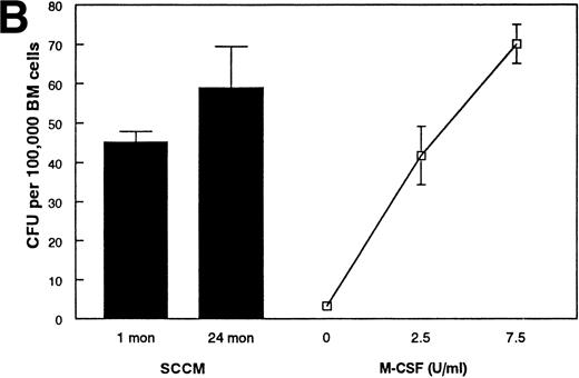 Fig. 5. Examination of SCCM. (A) Measurement of IL-7 secreted by stromal cells from young and old mice. A bioassay for IL-7 was used to measure the amount of IL-7 secreted by FACS-purified stromal cells in 72 hours. SCCM was used at a final concentration of 10%. The results shown are the average ± SD of 3 to 4 replicate wells using the pre-B–cell line BC715; similar results were found using two other pre-B–cell lines, BC76 and 2E8. Similar results were also obtained when 20% and 30% SCCM were used and with SCCM from 4 separate collections (data not shown). The responses to 0.001 and 0.0025 ng/mL rIL-7 are shown for comparison. (B) Production of secreted M-CSF activity by stromal cells. The amount of M-CSF activity present in SCCM from FACS-purified stromal cells was determined by a CFU-M assay. The number of macrophage colonies having greater than 20 cells was determined using a dissecting microscope after culture in semisoft agar for 7 days. The data are reported as the average ± SD of 3 to 4 plates per group. The results shown are from one representative experiment of three performed with different collections of SCCM after 72 hours. The results shown used SCCM at 20%; no age-related differences were observed when the SCCM was used at 10% (data not shown). The responses to 2.5 and 7.5 U/mL rM-CSF are shown for comparison.