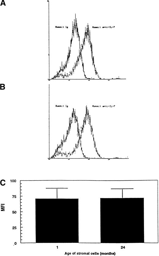 Fig. 8. Comparison of the relative amount of IL-7 within the cytoplasm of stromal cells from young and old mice. The relative amount of IL-7 within stromal cells was determined by cytoplasmic flow cytometry as described in Fig 7 and in Materials and Methods. The histograms compare the levels of cytoplasmic staining for normal Ig and anti–IL-7 antibody in stromal cells from (A) 1-month-old mice and (B) 24-month-old mice. (C) Net specific IL-7 staining was calculated as the difference in MFIs between staining with anti–IL-7 and control Ig antibodies. The average ± SD was calculated from four separate experiments using stromal cells from two independent culture initiations is shown. In each experiment, two to four pooled LTBMC-Bs were used as the source of stromal cells.
