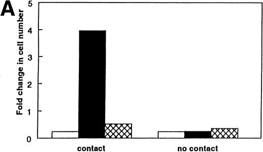 Fig. 10. Requirement for direct cell-cell contact for the secretion of IL-7 from stromal cells. Cell contact between the IL-7–dependent pre-B cells and the stromal cells was prevented by use of a 0.45-μm membrane (no contact). (A) IL-7–dependent proliferation did not occur without direct cell contact with the stromal cells. (B) Proliferation of IL-7–dependent pre-B cells to rIL-7 was not affected by the presence or absence of cell contact with stromal cells. The results shown in (B) used rIL-7 at a concentration of 0.25 ng/mL; similar results were found with IL-7 at 1.0 ng/mL (data not shown). The results shown in (A) and (B) used the pre-B–cell line BC77; similar results were found with BC715. (□) No SC; (▪) 1-month-old SC; () 24-month-old SC.