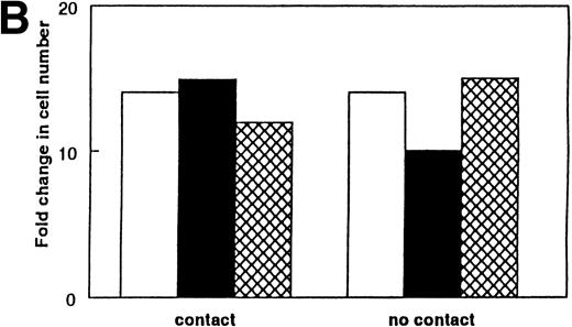 Fig. 10. Requirement for direct cell-cell contact for the secretion of IL-7 from stromal cells. Cell contact between the IL-7–dependent pre-B cells and the stromal cells was prevented by use of a 0.45-μm membrane (no contact). (A) IL-7–dependent proliferation did not occur without direct cell contact with the stromal cells. (B) Proliferation of IL-7–dependent pre-B cells to rIL-7 was not affected by the presence or absence of cell contact with stromal cells. The results shown in (B) used rIL-7 at a concentration of 0.25 ng/mL; similar results were found with IL-7 at 1.0 ng/mL (data not shown). The results shown in (A) and (B) used the pre-B–cell line BC77; similar results were found with BC715. (□) No SC; (▪) 1-month-old SC; () 24-month-old SC.