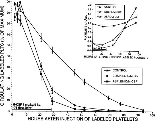 Fig. 7. Effect of M-CSF on platelet survival. Eusplenic SW mice, or SW mice that had been splenectomized at least 4 weeks previously, were treated with M-CSF, 4 mg/kg/d for 3 days. On the fourth day, M-CSF was administered in the morning, and 3 hours later approximately 2.5 × 108 platelets that had been fluorescently labeled with CMFDA were injected into the tail veins of these mice. A control group of mice that had not received M-CSF also was injected with the same number of platelets. The percent of the maximum number of circulating labeled platelets was serially determined for 93 hours by flow cytometry, and the means ± 1 SE are shown by the closed symbols. The mean T1/2 for platelet survival in the control animals (▴) was 32.9 hours (n = 5). The T1/2 in the eusplenic M-CSF treated animals (•) (19.0 hours; n = 7) and in the asplenic M-CSF–treated animals (▪) (16.3 hours; n = 7) were both significantly shorter than that of the controls (P < .001). The T1/2 values for platelet survival in the 2 groups of M-CSF–treated animals were not significantly different from each other. Serial platelet counts for each group were obtained and are shown with the corresponding open symbols in the inset graph.
