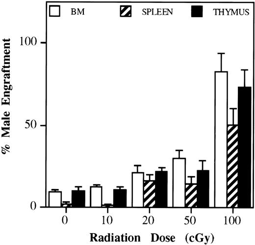 Fig. 1. Effect of minimal irradiation on engraftment. Balb/c female hosts received graded doses of whole animal irradiation (0, 10, 20, 50, and 100 cGy) followed 4 hours later by infusion of 40 × 106 normal Balb/c male marrow cells of the same strain in a single injection. To evaluate repopulation patterns by Southern blot analysis, we used the Y-chromosome specific pY-2 probe. Female recipient mice were killed 2 months after 0, 10, 20, 50, and 100 cGy and infusion of male marrow cells with 5 to 10 transplanted animals per dose level. A dose of 100 compared with 0 cGy showed increased engraftment in marrow, spleen, and thymus (P < .01). At 20 and 50 cGy, both bone marrow and spleen engraftment was increased compared with 0 cGy (P < .02). Compared with 50 cGy, 100 cGy produced superior engraftment in spleen, thymus, and marrow (P< .01).