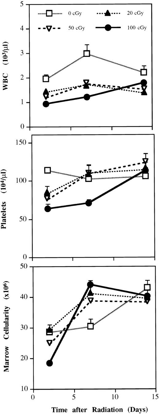 Fig. 4. Effect of minimal irradiation on differentiated cell levels. To determine the hematologic effects of low doses of irradiation on the normal host, animals in groups of five received low doses of whole animal irradiation (0, 20, 50, and 100 cGy) without donor cells. At days 2, 7, and 14, animals were killed and tissues were analyzed for white blood cell count (×103/μL), platelet count (×109/L), and marrow cellularity (×103; 2 tibias and 1 femur).
