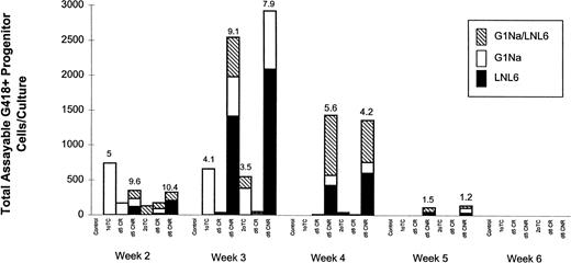 Fig. 6. PCR analysis from 1 representative long-term hematopoietic culture initiated with all 7 groups of transduced and untransduced CD34+ cells outlined in Fig 1. In this experiment, cells were transduced on d1 with G1Na and with LNL6 on d5 and d6. LTCs were initiated on d0, d1, d5, or d6 with the indicated cell group and maintained with cytokines. Cultures were demidepopulated every week, followed by replenishment of half of the medium and cytokines. Harvested cells were used for clonogenic assays in the presence or absence of G418. Values were normalized to represent data obtained from cultures initiated with 104 cells. The origin of the neoR gene detected in single colonies at weeks 2, 3, 4, and 5 is indicated. Each bar is divided into 3 sections reflecting the percentage of colonies at each time point containing G1Na sequences, LNL6 sequences, or both. For every data point, between 7 and 15 colonies were analyzed. Numbers on top of each bar indicate the transduction efficiency. Similar results were obtained in 1 additional experiment using this sequence of transduction.