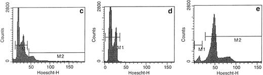 Fig. 6. Examination of sorted MKs. After 8 days of culture, the cells were sorted on their CD41 expression and on their ploidy by Hoechst staining into two cell fractions corresponding to 2N-4N and >4N MKs. The quality of the sorted cells was checked by examination with a fluorescence microscope (original magnification × 100) under UV light (a and b). The polyploid fraction with multilobulated nuclei (b) was slightly contamined by some cell agregates. In the 2N-4N fraction (a), the cells were smaller. Cells were also reanalyzed by flow cytometry. A typical experiment is shown in (c), (d), and (e). In (c), the ploidy histogram of the CD41+ cells before sorting is shown with 14% >4N MKs. The ploidy histogram of the 2N-4N cell fraction is shown in (d). The purity of this fraction is greater than 99.9%. In (e), the ploidy histogram of >4N is shown with a purity of greater than 93%. It is noteworthy that contaminant cells (5%) are only 2N cells. The width of the peak is slightly larger than in the unfractionated cells due to a slight efflux of the Hoechst during cell sorting.