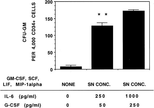 Fig. 9. Stimulation of progenitor growth is increased by the higher levels of IL-6 and G-CSF present in stromal cocultures. A total of 4,000 CD34+ cells/well were plated in methylcellulose medium supplemented with no cytokines or with a combination of recombinant human cytokines in concentrations comparable with stromal SN (5 pg/mL GM-CSF, 35 pg/mL SCF, 15 pg/mL LIF, and 75 pg/mL MIP-1α) and IL-6 and G-CSF either at the concentrations present in stromal SN (250 pg/mL IL-6 and 50 pg/mL G-CSF) or at the concentrations present in cocultures of stroma with CD34+ cells (1,000 pg/mL IL-6 and 250 pg/mL G-CSF). All cultures were supplemented with 3 IU/mL recombinant EPO. Colonies were enumerated on day 14. N = 4. Comparison between SN concentration cytokines and SN concentration cytokines with higher concentrations of IL-6 and G-CSF: **P < .01.