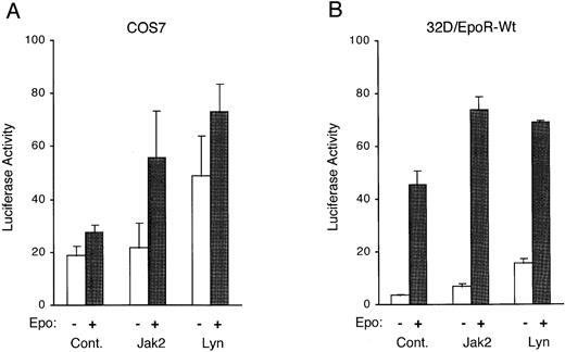 Fig. 6. Lyn enhances expression of a Stat5-responsive reporter plasmid. (A) COS7 cells were cotransfected with either pcDNA3 (Cont.), pcDNA-Jak2 (Jak2), or pXM-LynA and pXM-LynB (Lyn), as indicated, along with the Stat5-responsive luciferase reporter pZZ1 plasmid, the control Renilla luciferase pRL-TK plasmid, pRK5-Stat5, and pXM-EpoR-Wt. Two days after transfection, cells were either left unstimulated or stimulated with 5 U/mL for 5 hours, as indicated, and harvested for the dual-luciferase assay. The luciferase activity was normalized by the Renilla luciferase activity and expressed in arbitrary units. The data represent averages ± standard deviations of three independent experiments. (B) 32D/EpoR-Wt cells were transiently transfected with either pcDNA3 (Cont.), pcDNA-Jak2 (Jak2), or pXM-LynA and pXM-LynB (Lyn), as indicated, along with pZZ1 and pRL-SV40. One day after transfection, cells were starved overnight, incubated for 5 hours in medium with or without 4 U/mL of Epo (as indicated), and harvested for the dual-luciferase assay.