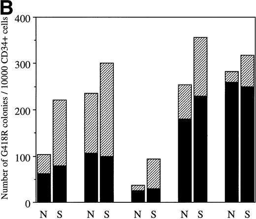 Fig. 2. (A) Typical experiment showing the number of progenitor cells after retroviral transduction of CD34+ cells with PA317 alone (□), LNL6 (▨), or LNC(SCL) (▪). GM and erythroid colonies in the presence and absence of G418 (1.5 mg/mL active concentration) are shown. Agar cultures were established using 1,000 CD34+ cells and GM and erythroid colonies were quantitated in independent cultures using the appropriate growth factor combinations. Data points are the mean ± SD of triplicate cultures (in absence of G418) or 9-replicate cultures (in presence of G418). (B) Total number of G418R colonies per 1 × 104CD34+ cells for 5 representative patient samples. Cultures were established in the presence of G418 (1.5 mg/mL) using a range of cell concentrations (1 × 103 to 5 × 104 CD34+ cells) after transduction with LNL6 (N) or LNC(SCL) (S). (▪) The number of GM colonies; (▨) the number of erythroid colonies. GM and erythroid colonies were quantitated in independent cultures. Each bar represents the mean from 9-replicate cultures. (C) The proportion of erythroid colonies grown in agar culture as a function of the total number of colonies obtained after the transduction of CD34+ cells with LNL6 or LNC(SCL). Each point represents an individual patient sample.