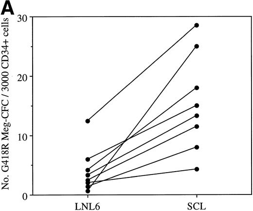 Fig. 6. (A) Number of G418R MK colonies after transduction of CD34+ cells with LNL6 or LNC(SCL). Cultures were established using 3,000 CD34+ cells in the presence of 1.5 mg/mL G418. Each data point represents an individual patient sample. Equivalent titers between LNL6 and LNC(SCL) (2% to 13% G418R GM-CFC) were confirmed within each experiment. (B) The number of cells per G418R MK clone after transduction of CD34+ cells with LNL6 (▨) or LNC(SCL) (▪). The total number of retrovirally transduced MK clones is shown. Clones from a total of 9 agar culture plates, representing 4 individual patient samples, are shown. Equivalent titers were observed for the LNL6 and LNC(SCL) retroviruses, as assessed by determining the percentage of G418R GM-CFC for each of the 4 patient samples. MK colonies contained 3 or more cells. The number of cells per MK clone was counted using an inverted microscope at ×100 magnification.