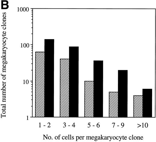 Fig. 6. (A) Number of G418R MK colonies after transduction of CD34+ cells with LNL6 or LNC(SCL). Cultures were established using 3,000 CD34+ cells in the presence of 1.5 mg/mL G418. Each data point represents an individual patient sample. Equivalent titers between LNL6 and LNC(SCL) (2% to 13% G418R GM-CFC) were confirmed within each experiment. (B) The number of cells per G418R MK clone after transduction of CD34+ cells with LNL6 (▨) or LNC(SCL) (▪). The total number of retrovirally transduced MK clones is shown. Clones from a total of 9 agar culture plates, representing 4 individual patient samples, are shown. Equivalent titers were observed for the LNL6 and LNC(SCL) retroviruses, as assessed by determining the percentage of G418R GM-CFC for each of the 4 patient samples. MK colonies contained 3 or more cells. The number of cells per MK clone was counted using an inverted microscope at ×100 magnification.